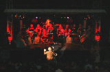 DSC00479_edited-1